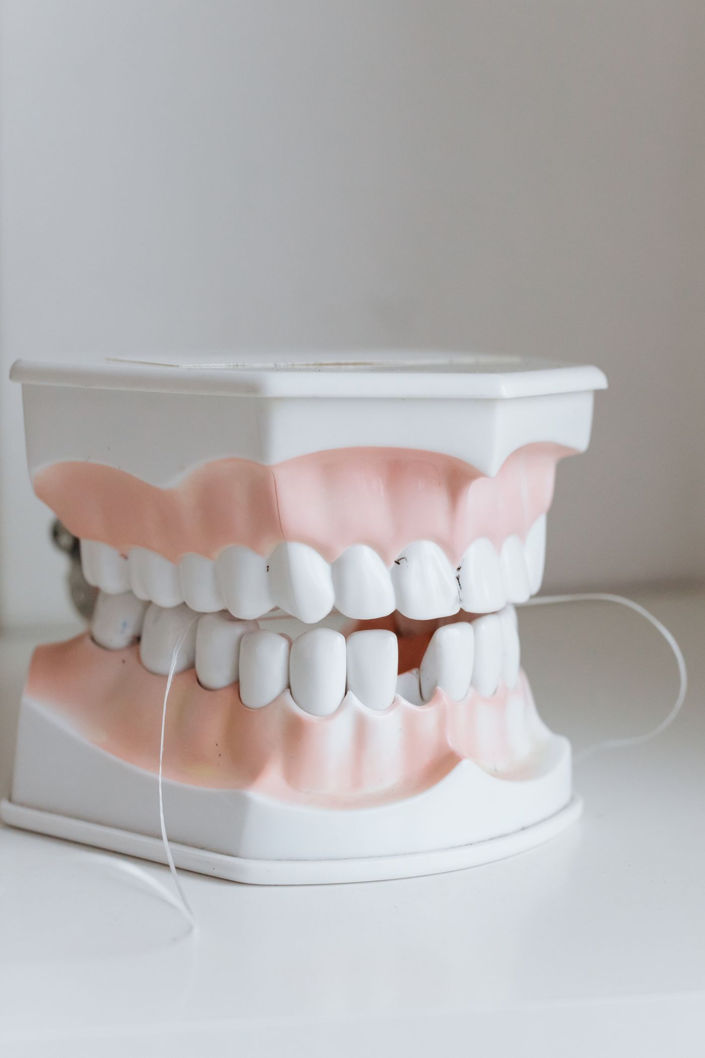 Wax-up / tipodont üzerinde form ve oran çalışması